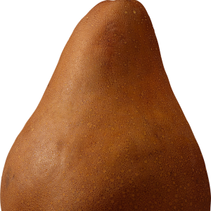 Brown pear PNG image