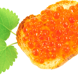 Sandwich PNG image