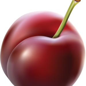 Plum PNG image