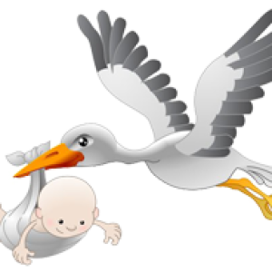 stork baby PNG