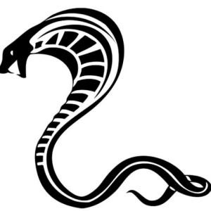 Cobra PNG