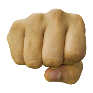 Fist PNG