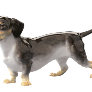 Dachshund PNG