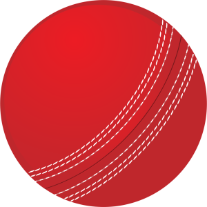 Cricket ball PNG