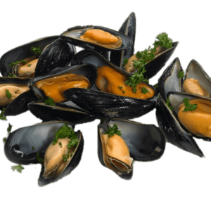 Mussel PNG
