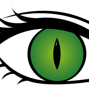 Eye PNG