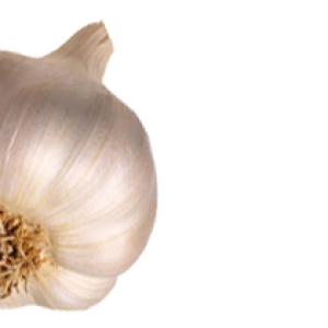 Garlic PNG