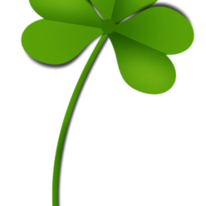 Shamrock PNG