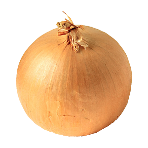 Onion PNG