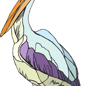 Pelican PNG