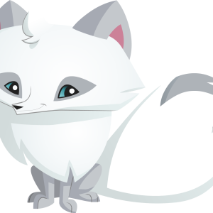 Arctic fox PNG