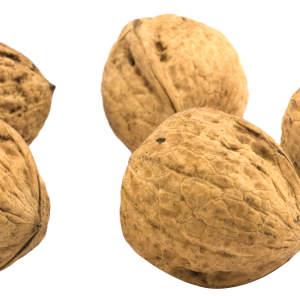 Walnut PNG