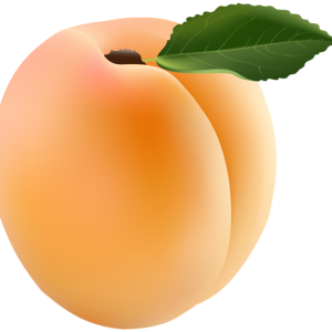 Apricot PNG