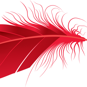 Feather PNG