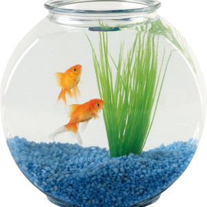 Aquarium PNG