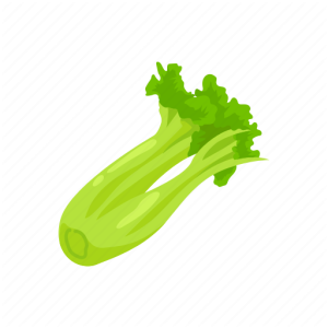 Celery PNG