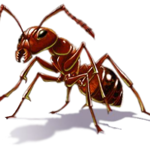 ant PNG