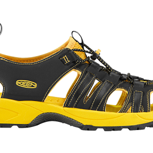 Sandals PNG image