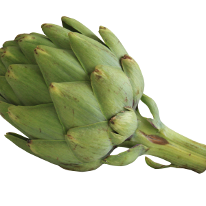 Artichoke PNG