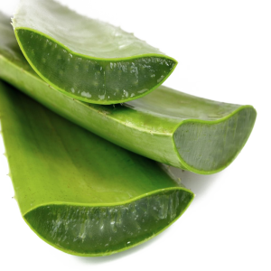 Aloe vera PNG