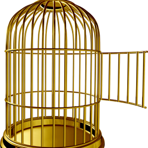Cage bird PNG