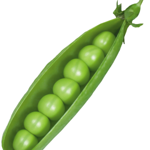Pea PNG