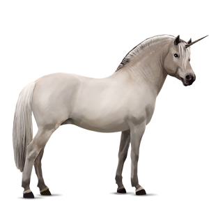 Unicorn PNG