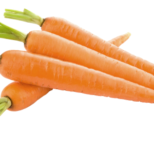 Carrot PNG image