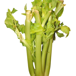 Celery PNG