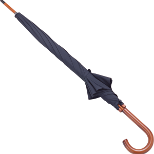 Umbrella PNG