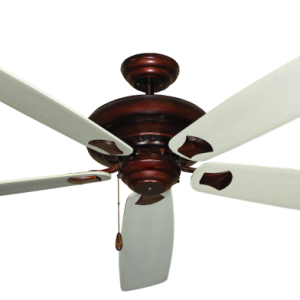 Fan PNG