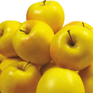 Many yellow apples PNG