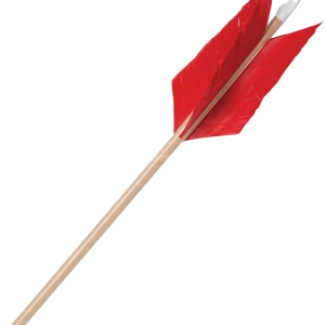 Arrow bow PNG