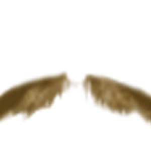 Moustache PNG