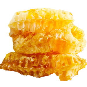 Honey PNG