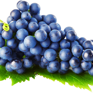 Grape PNG image
