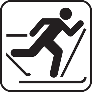 Skiing PNG