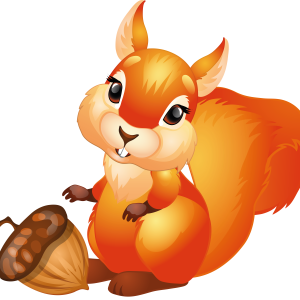 Squirrel PNG