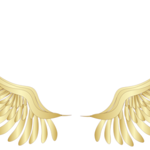 Wings PNG
