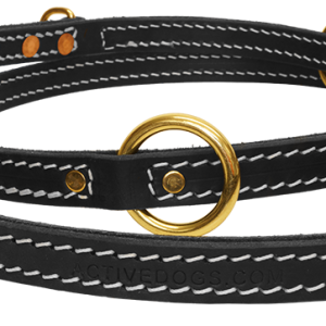 Leash PNG