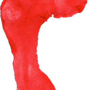 Footprints PNG