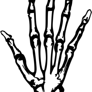 X-rays PNG