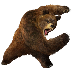 brown greezly bear PNG image