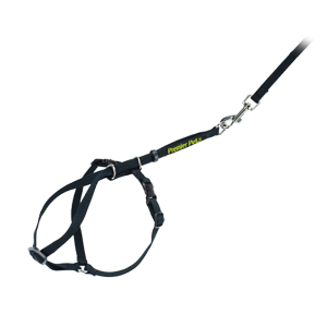 Leash PNG