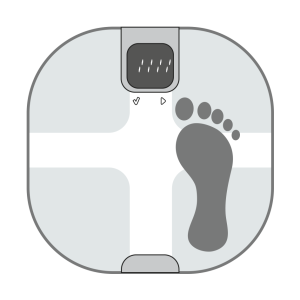 weight scale PNG