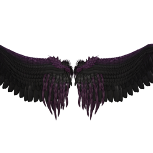 Black wings PNG