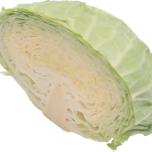 Cabbage PNG