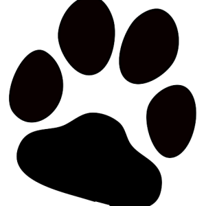 Paw PNG