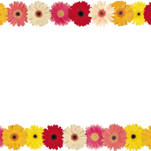 Floral frame PNG