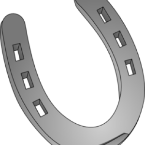 Horseshoe PNG